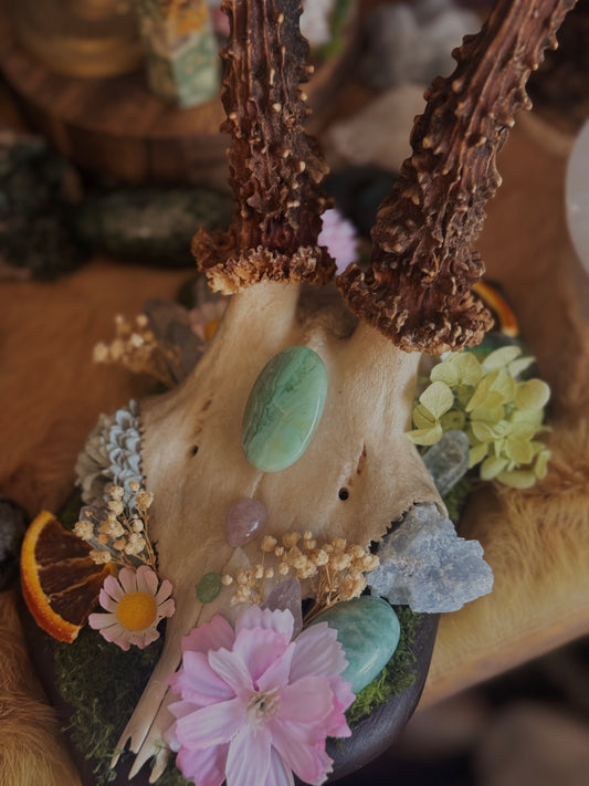 Midsummer Bloom - Altarbegleiter/ Verzierte Rehschädel-Kreation