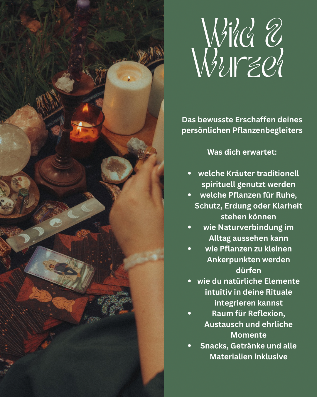 Wild & Wurzel Workshop – über Pflanzenmagie, Naturverbindung und kleine Rituale für den Alltag