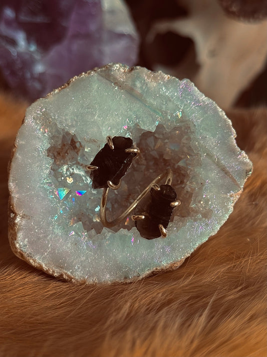 Twins of Protection Ring