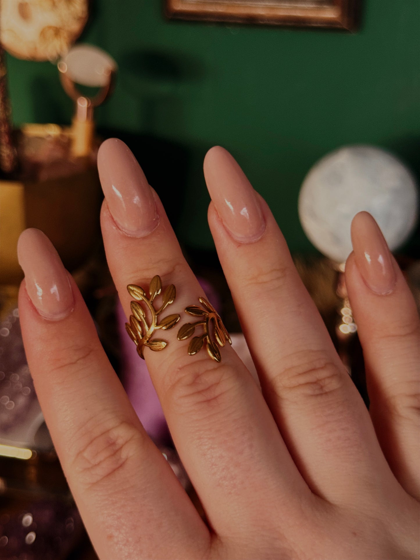 Rooted – Ring